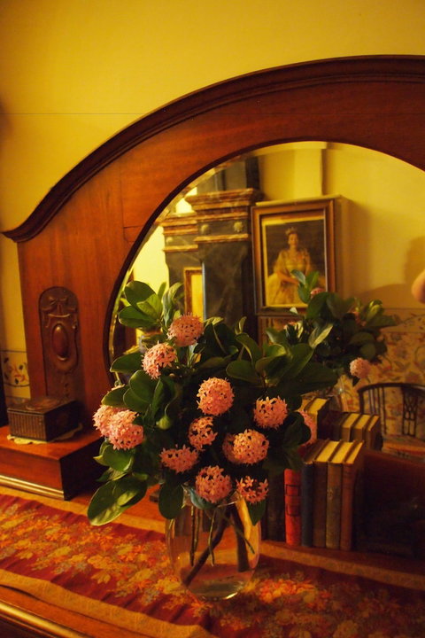 Vacy Hall Toowoomba's Grand Boutique Hotel - Accommodation Nelson Bay 6