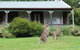 Cedar Lodge Cabins - thumb 1