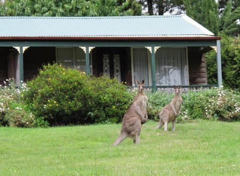 Cedar Lodge Cabins - Accommodation Nelson Bay 1