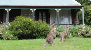 Cedar Lodge Cabins - Accommodation Nelson Bay 0