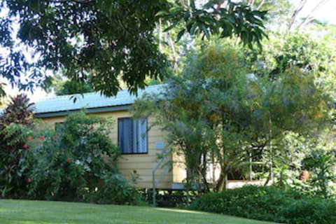 Daintree Valley Haven - Accommodation Nelson Bay 0