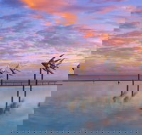 Global Backpackers Cairns - Accommodation Nelson Bay