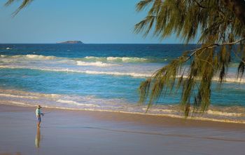 Pacific Royale Holiday Apartment 313 - Accommodation Nelson Bay 2