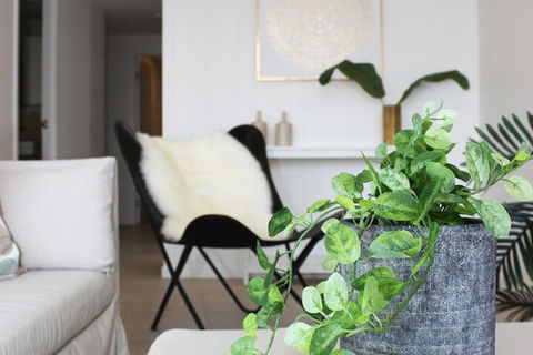 Modern Apartment In Brisbane - Accommodation Nelson Bay 5