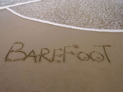 Barefoot 7 / 44 Marine Drive Fabulous Fingal Bay - Nelson Bay Accommodation.com 4