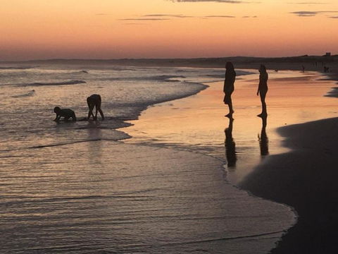 Cromarty Cottage 900m From Birubi Beach - Accommodation Nelson Bay 6