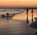 Cromarty Cottage 900m from Birubi Beach - Accommodation Nelson Bay