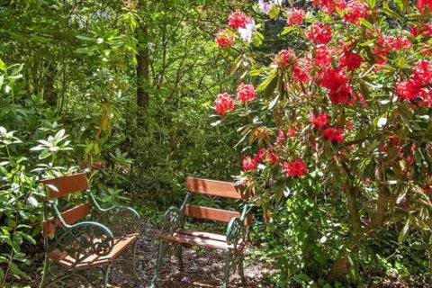Jalscene - Accommodation Nelson Bay 5