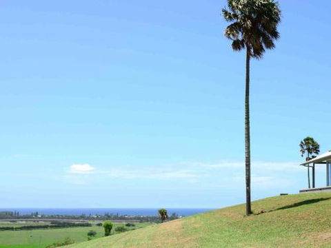 ROSE VALLEY Gerringong 4pm Check Out Sundays - Accommodation Nelson Bay 0