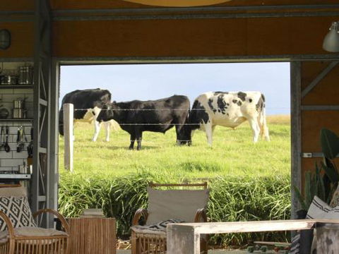 THE SHED Gerroa 4pm Checkout On Sundays & Public Holidays - Accommodation Nelson Bay 6