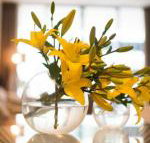 KUI Manhattan Apartments - Accommodation Nelson Bay