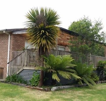 Strahan Holidays - Accommodation Nelson Bay 4