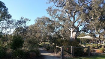 Mt Cooper Inn - Accommodation Nelson Bay 5