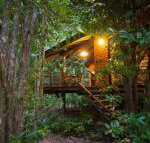 Wildwood - Accommodation Nelson Bay