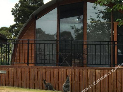 Bruny Island Accommodation 43 Degrees Beachside Studio Spa Apartments (1) - Accommodation Nelson Bay 1