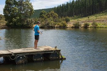 Nannup Valley Chalets - Accommodation Nelson Bay 1