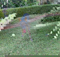 Manly's Hidden Gem - Nelson Bay Accommodation.com