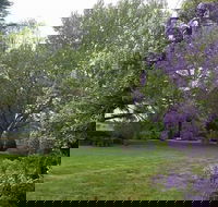 Petersons Armidale Winery  Guesthouse - Accommodation Nelson Bay
