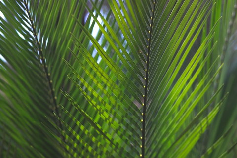 The Jackson Ranch - Accommodation Nelson Bay 2