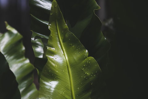 The Jackson Ranch - Accommodation Nelson Bay 1