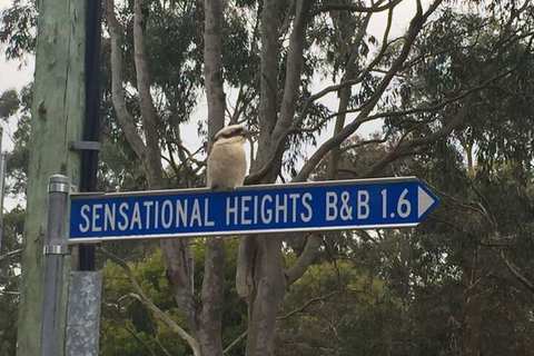 Sensational Heights Bed & Breakfast - Accommodation Nelson Bay 2