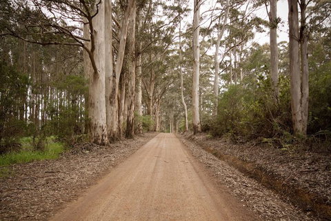 Sensational Heights Bed & Breakfast - Accommodation Nelson Bay 1