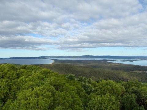 Honeycomb Valley Farm - Accommodation Nelson Bay 4