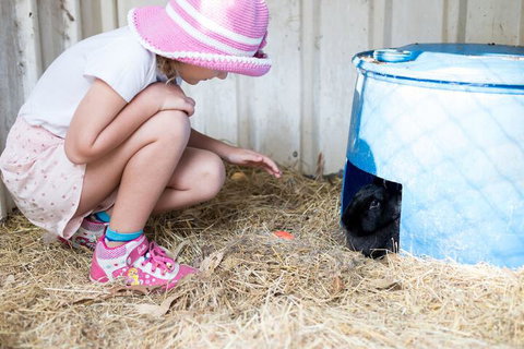 Misty Valley Country Cottages - Accommodation Nelson Bay 7