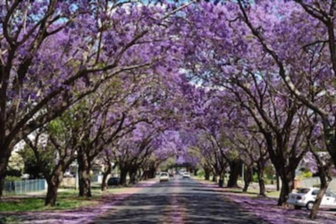 Civic Motel - Accommodation Nelson Bay 3