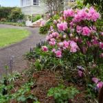  Accommodation Nelson Bay