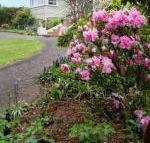 Anabels of Scottsdale - Accommodation Nelson Bay