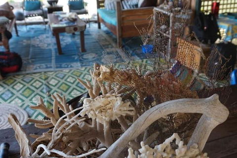Bremer Island Banubanu Beach Retreat - Accommodation Nelson Bay 5