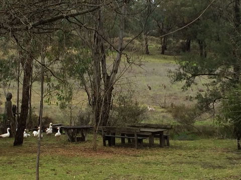 Wildwood Guesthouse - Accommodation Nelson Bay 1