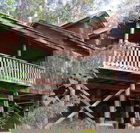 Barrington Wilderness Cedar Lodge Accommodation - Accommodation Nelson Bay
