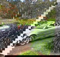 Valley Farm Vineyard Cottages - Accommodation Nelson Bay
