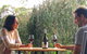 Valley Farm Vineyard Cottages - thumb 4