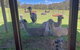 Valley Farm Vineyard Cottages - thumb 2