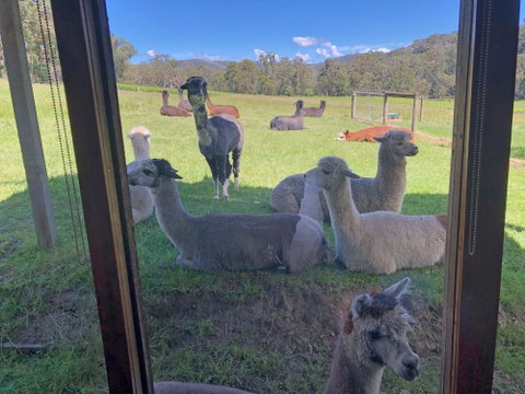 Valley Farm Vineyard Cottages - Accommodation Nelson Bay 2