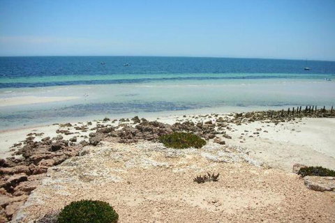 Amelia S Bed & Breakfast - Accommodation Nelson Bay 4