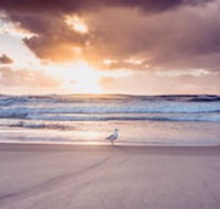 Blue Waters Motel - Accommodation Nelson Bay