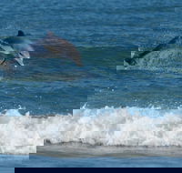 Summerhills Retreat Byron Bay - Accommodation Nelson Bay