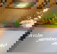 Avlon Gardens Motel - Ballina - Accommodation Nelson Bay