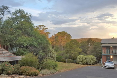 Hepburn Springs Motor Inn - Accommodation Nelson Bay 4