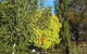 Ophir Gold Bed & Breakfast - thumb 2