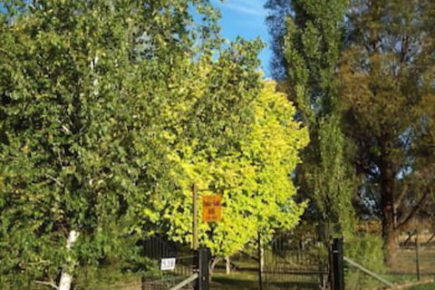 Ophir Gold Bed & Breakfast - Accommodation Nelson Bay 2