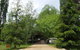 Ophir Gold Bed & Breakfast - thumb 0