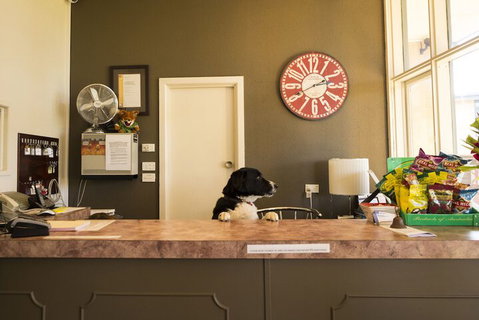 Motel Traralgon - Accommodation Nelson Bay 2