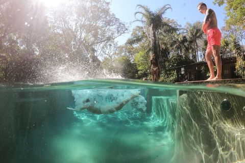 Samurai Beach Bungalows Port Stephens YHA - Accommodation Nelson Bay 3