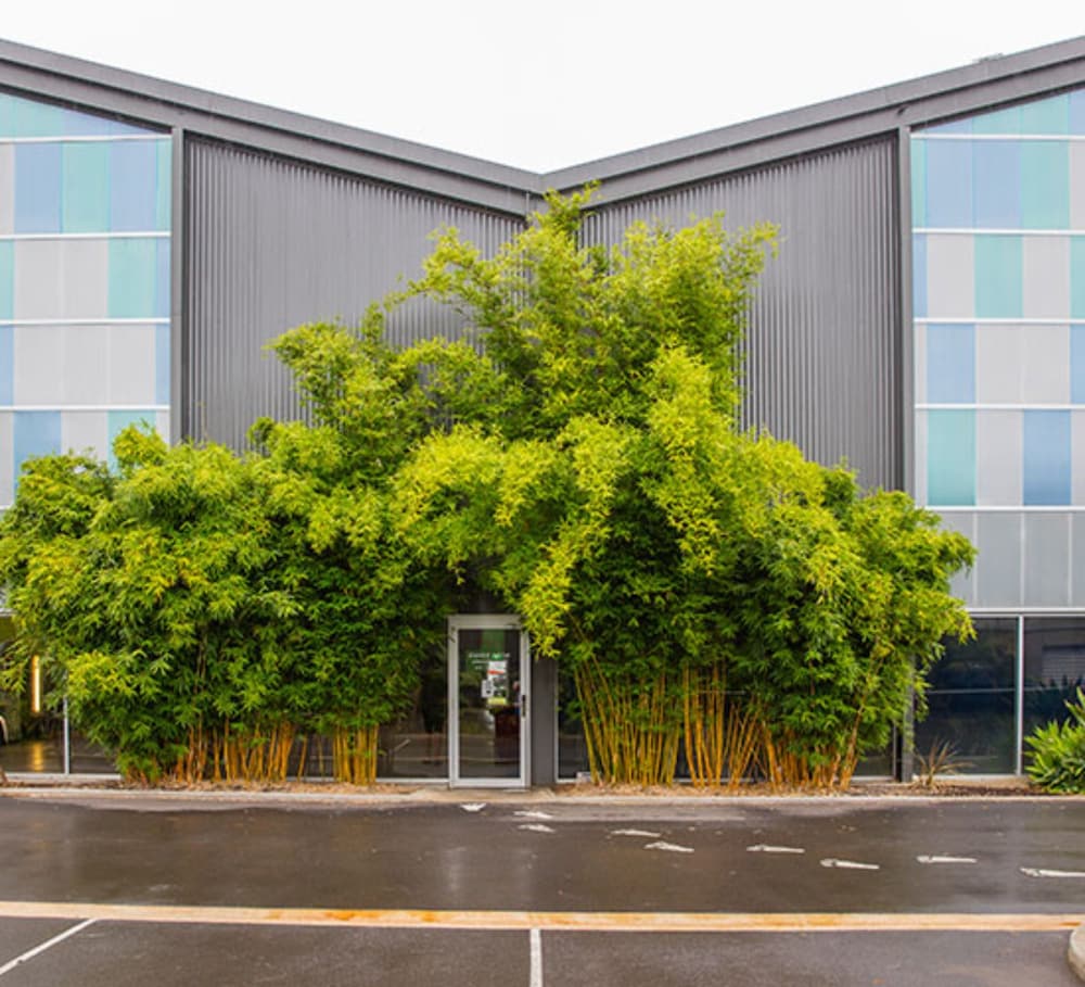 Accommodation Nelson Bay