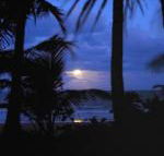 Sejala Beach Huts - Accommodation Nelson Bay